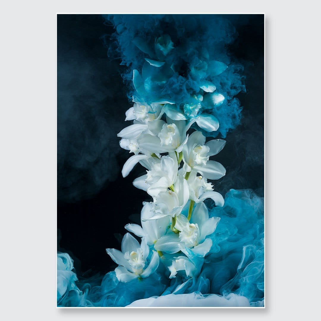 Cymbidium Orchid Photographic Print by Georgie Malyon