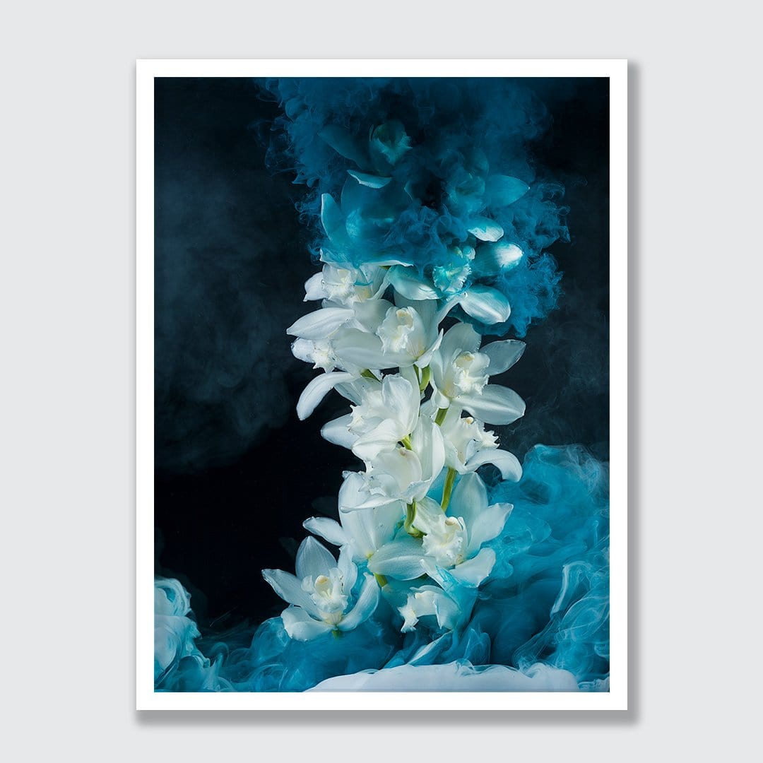 Cymbidium Orchid Photographic Print by Georgie Malyon