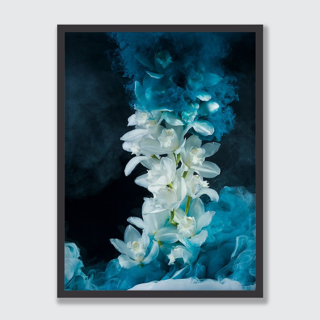 Cymbidium Orchid Photographic Print by Georgie Malyon