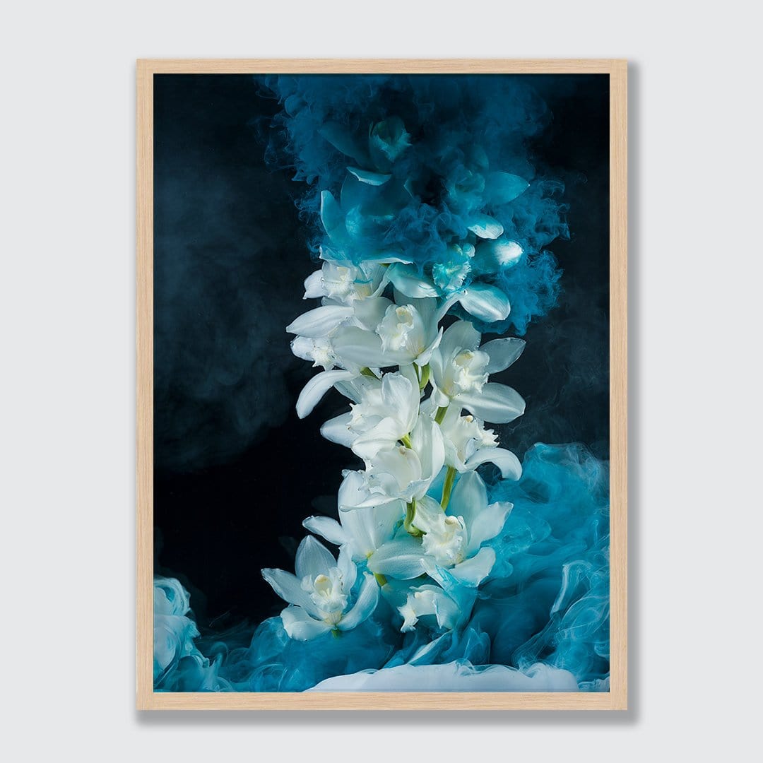 Cymbidium Orchid Photographic Print by Georgie Malyon