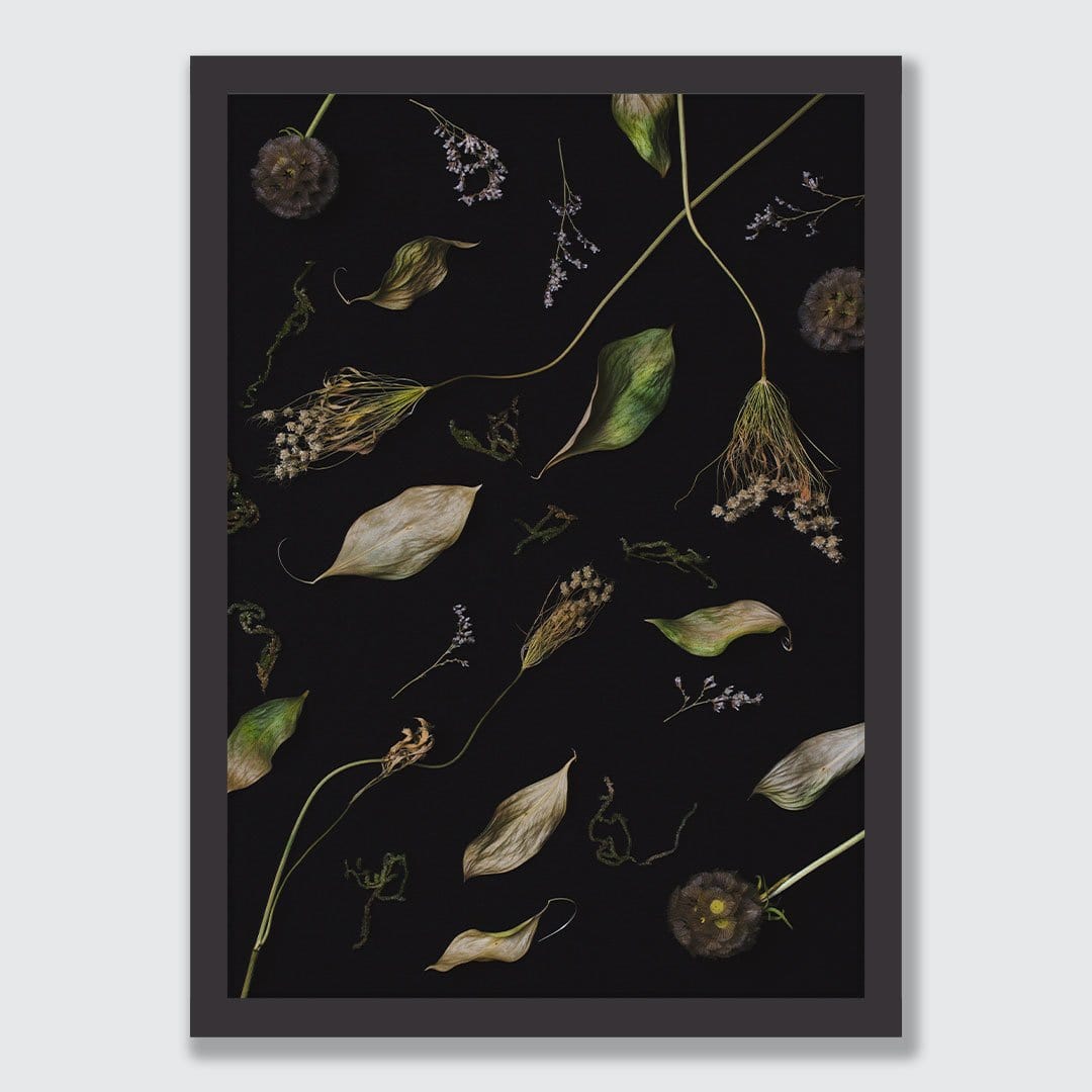 Dionysus Photographic Print by Maegan McDowell