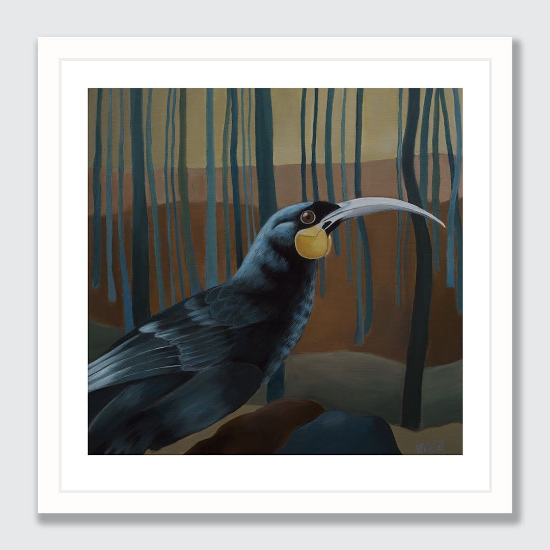 Douglas Huia Art Print by Margaret Petchell