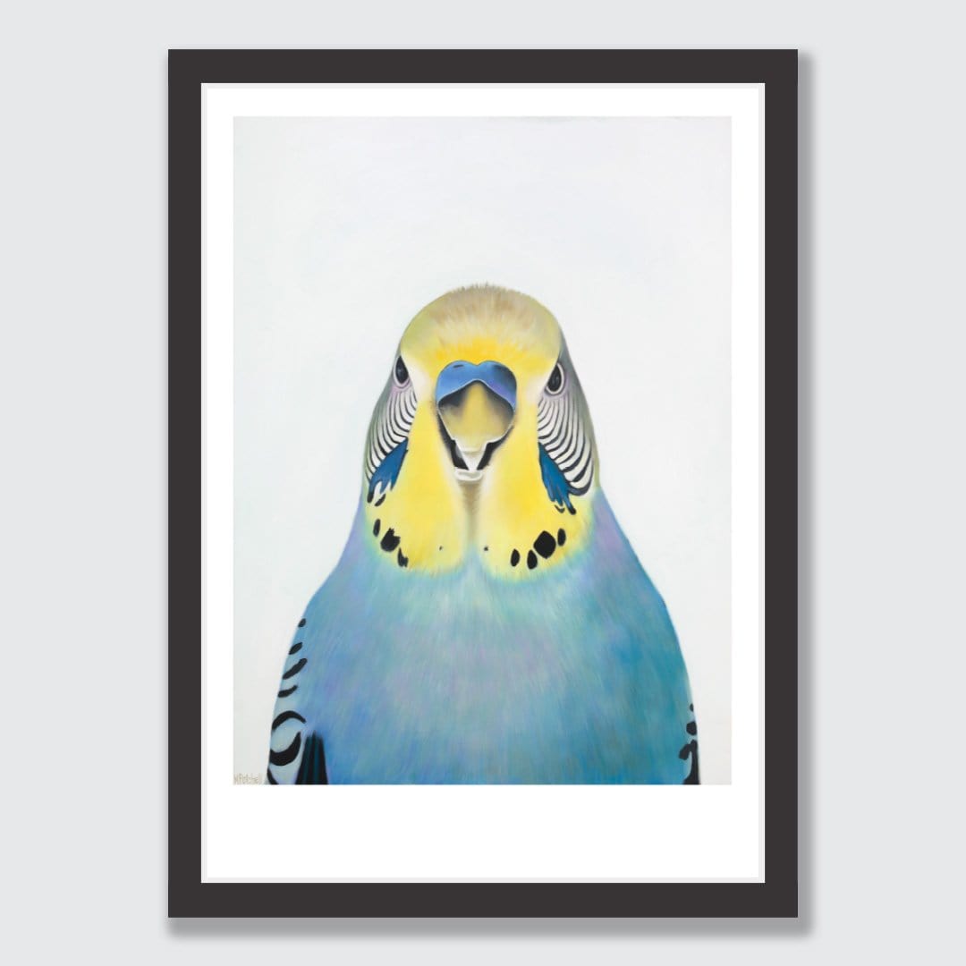 Edgar Budgie Art Print by Margaret Petchell