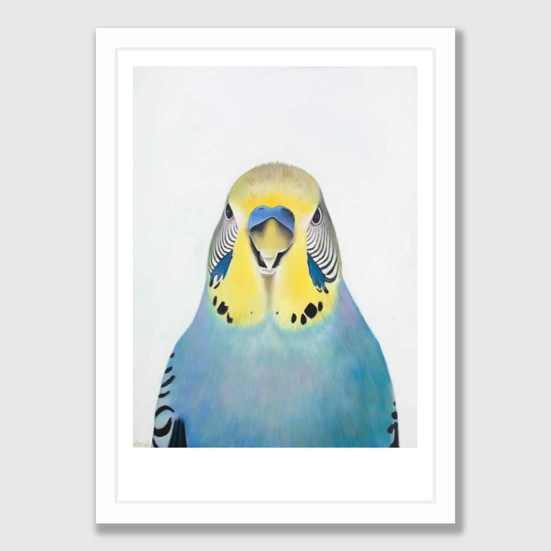 Edgar Budgie Art Print by Margaret Petchell
