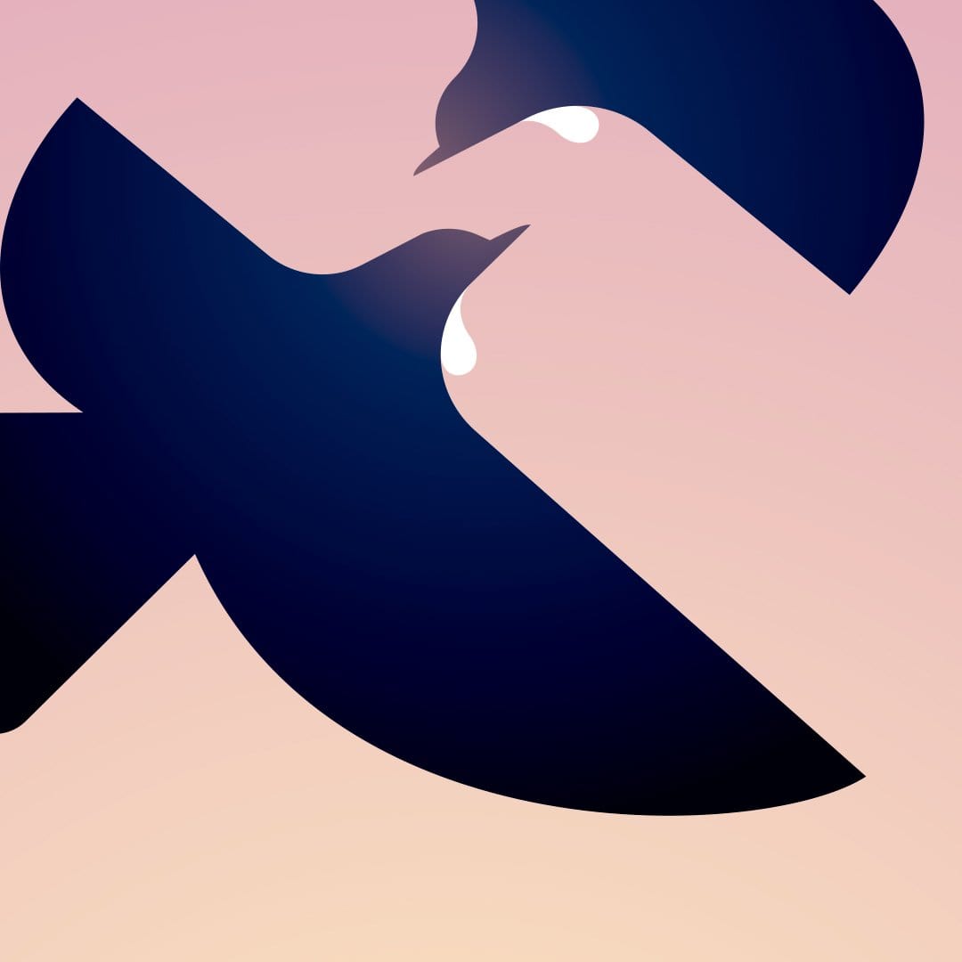 Evening Tui Art Print by Glenn Jones