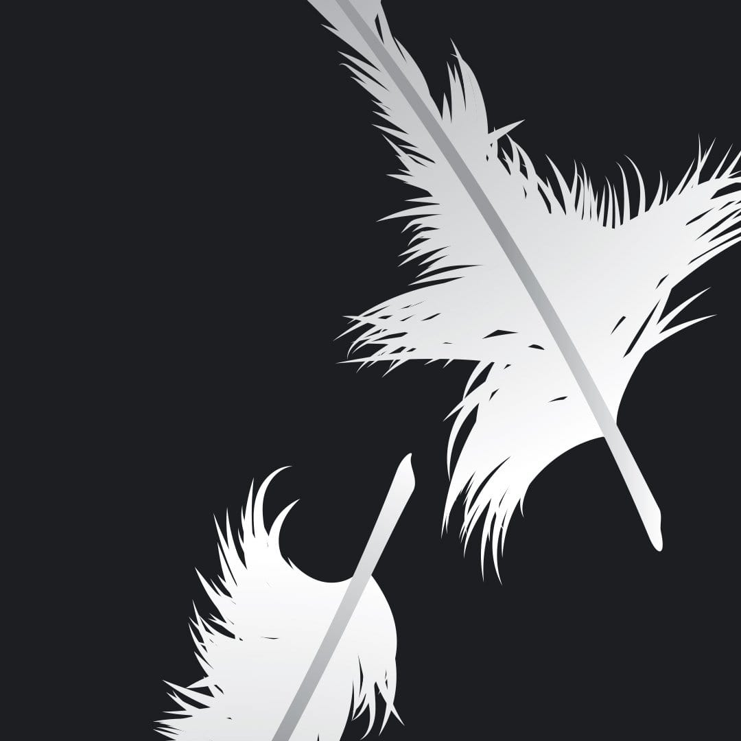 Feathers Art Print by Glenn Jones