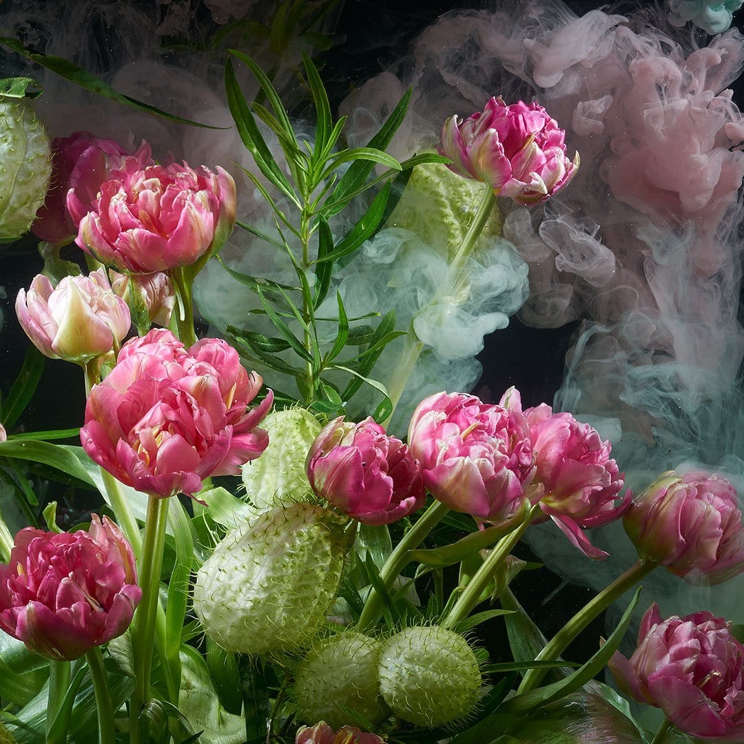 Floral Deities Photographic Print by Georgie Malyon