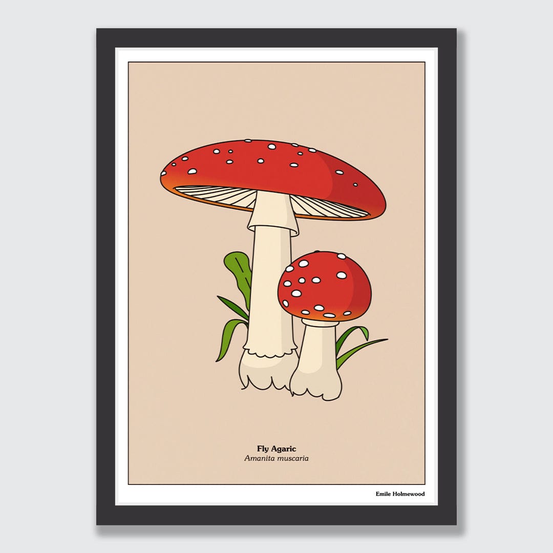 Fly Agaric Art Print by Emile Holmewood