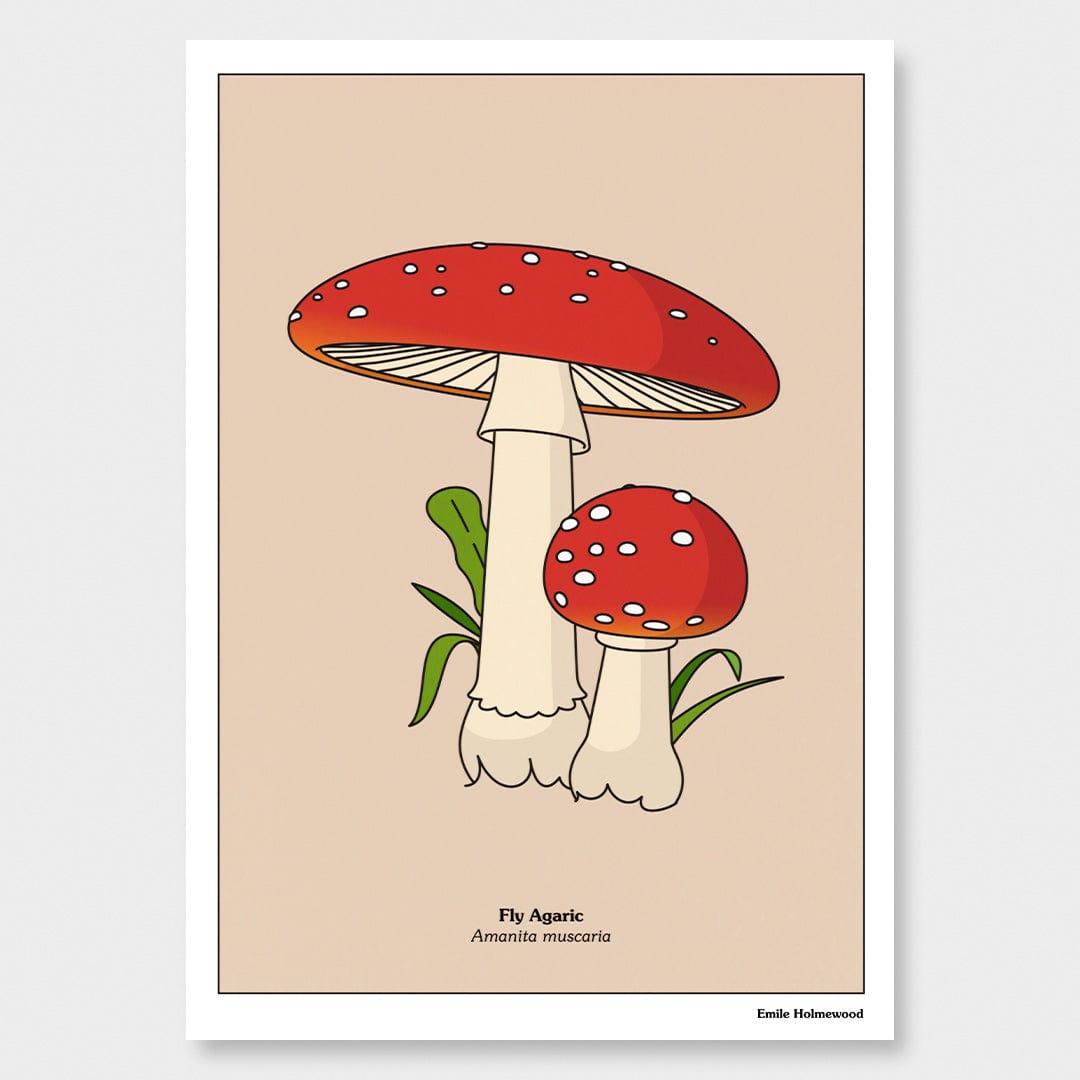 Fly Agaric Art Print by Emile Holmewood