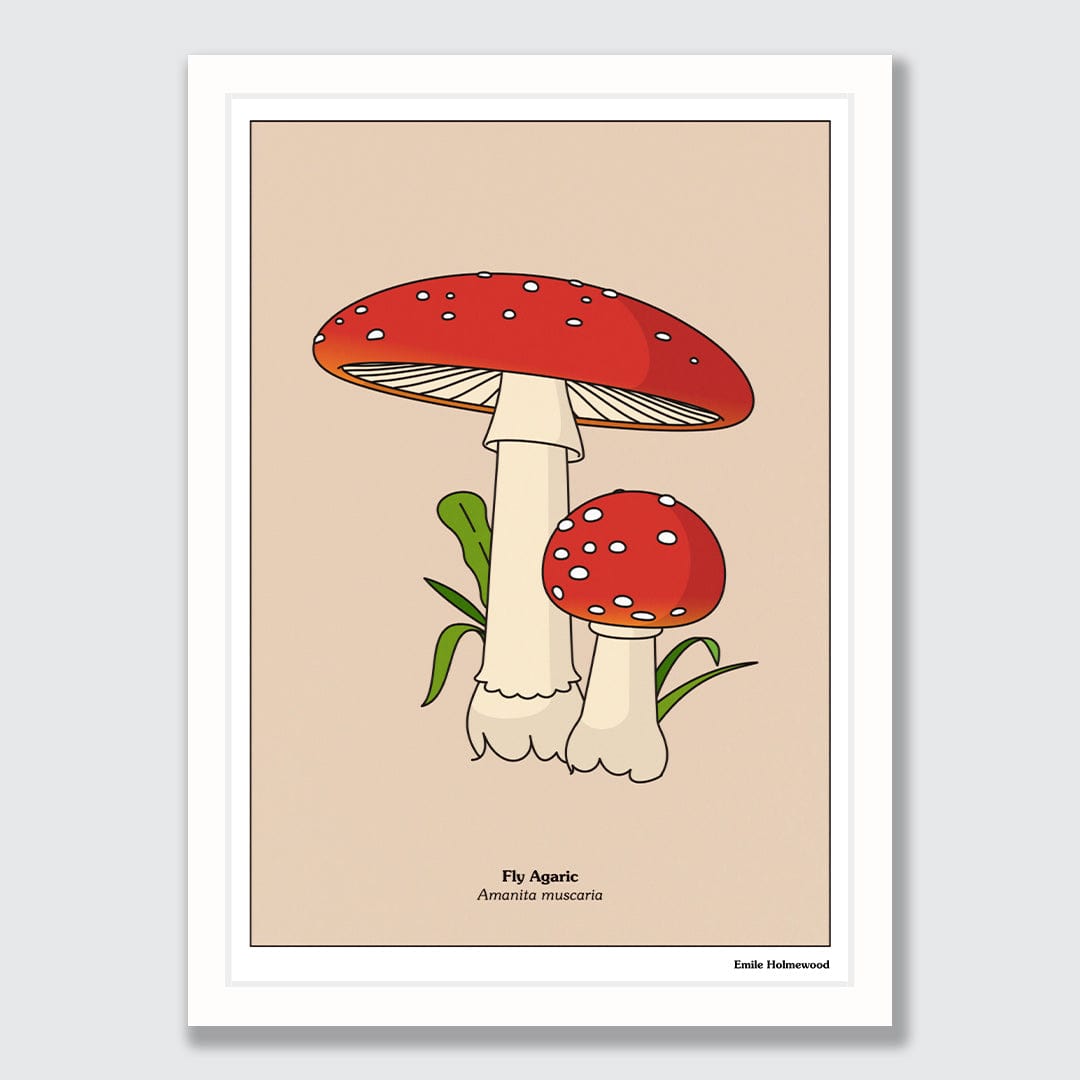 Fly Agaric Art Print by Emile Holmewood
