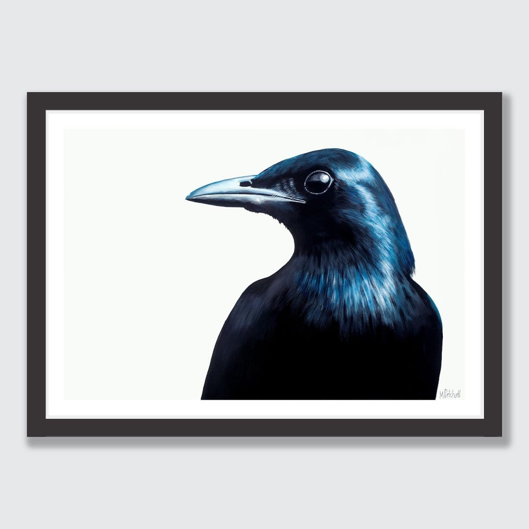 Frank The Blackbird Art Print by Margaret Petchell