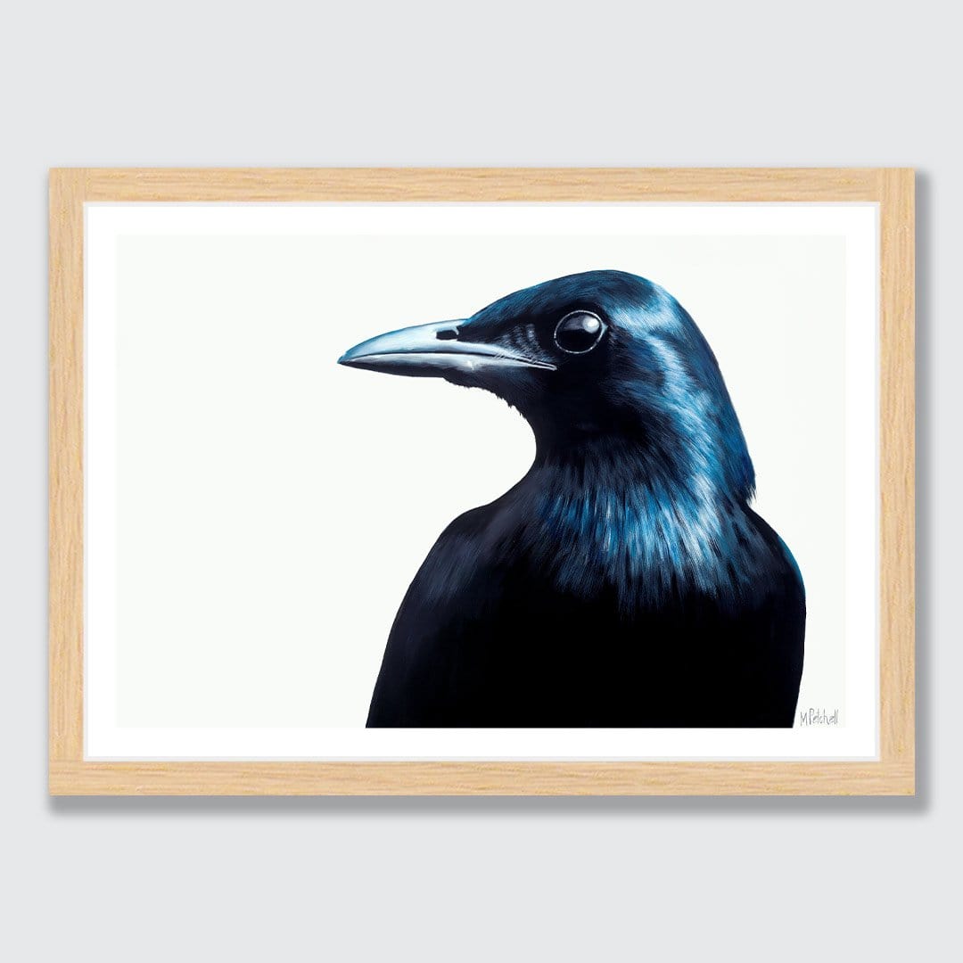 Frank The Blackbird Art Print by Margaret Petchell