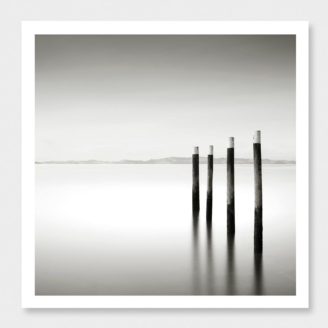 Frosted Tops Photographic Art Print by Jeremy Senior