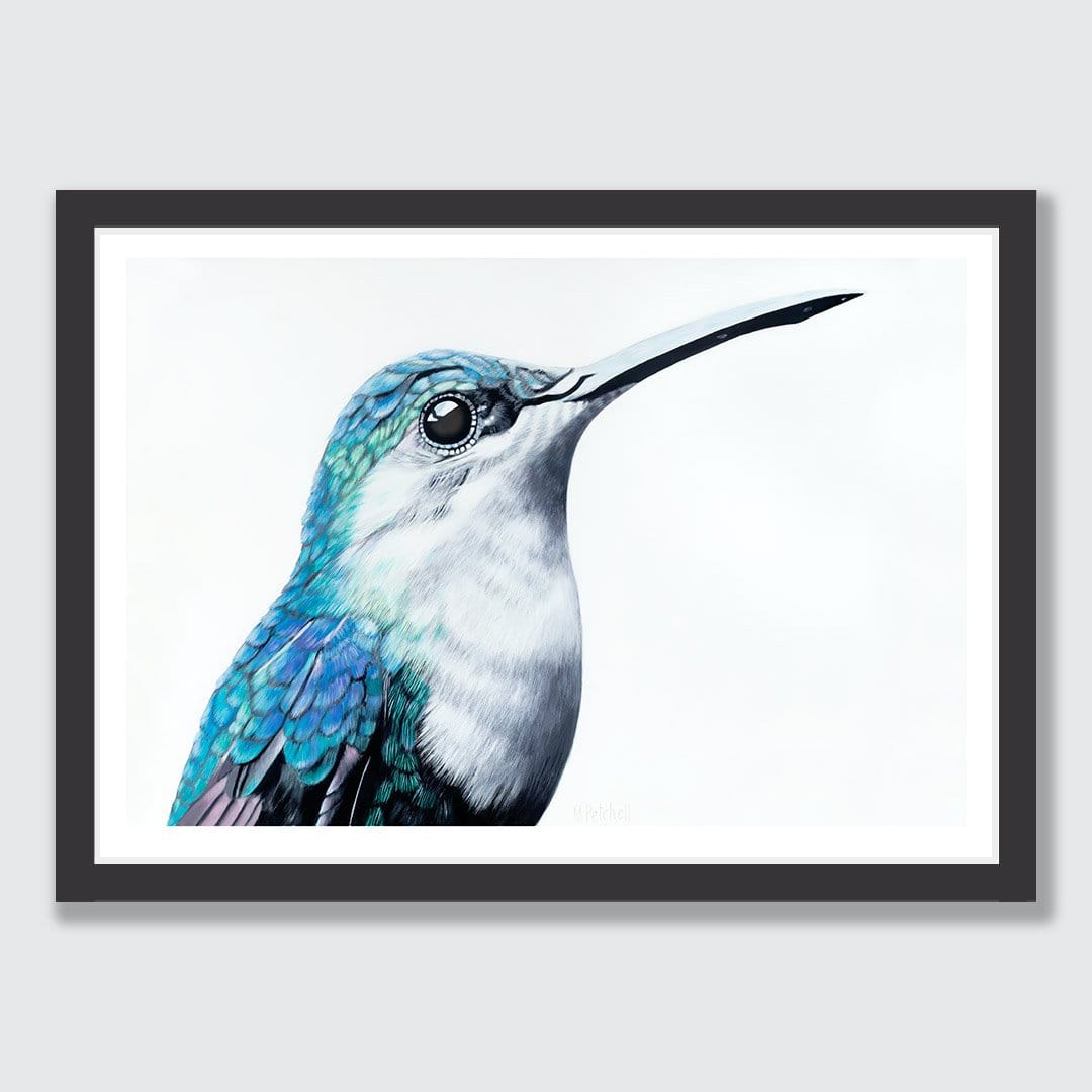 Gerald Hummingbird Art Print by Margaret Petchell