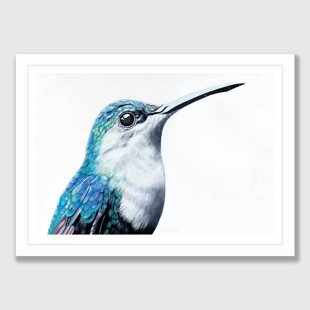 Gerald Hummingbird Art Print by Margaret Petchell