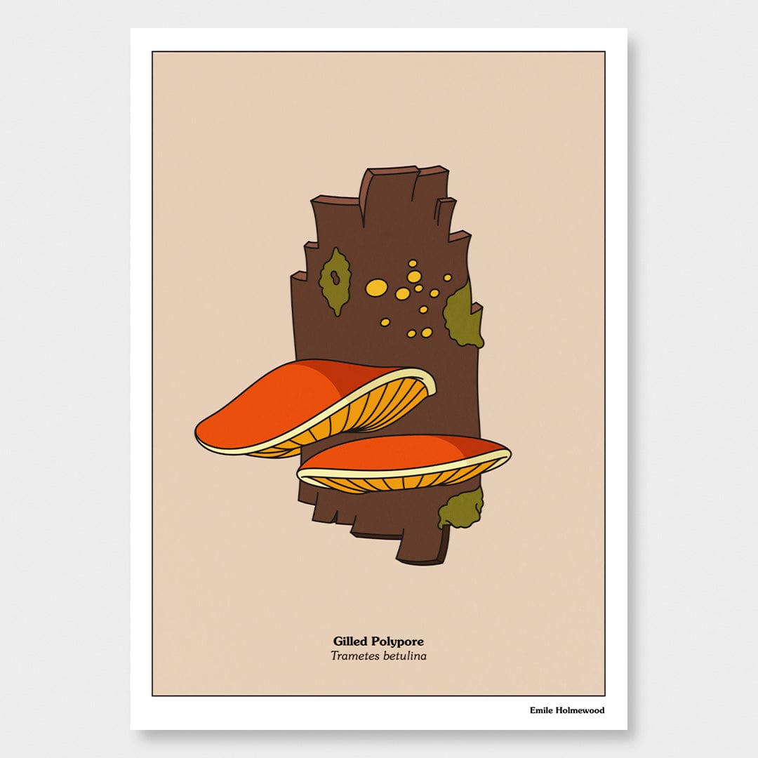 Gilled Polypore Art Print by Emile Holmewood