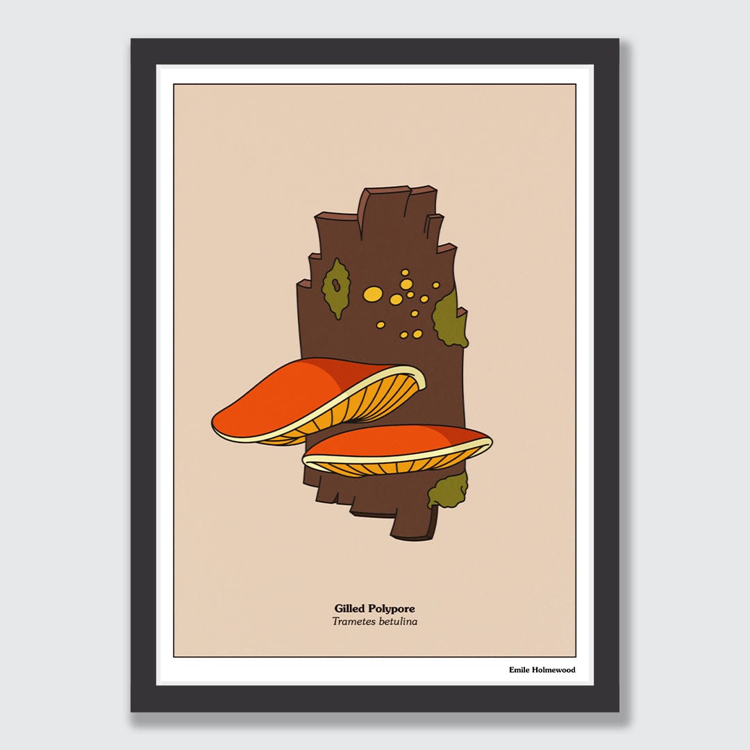 Gilled Polypore Art Print by Emile Holmewood