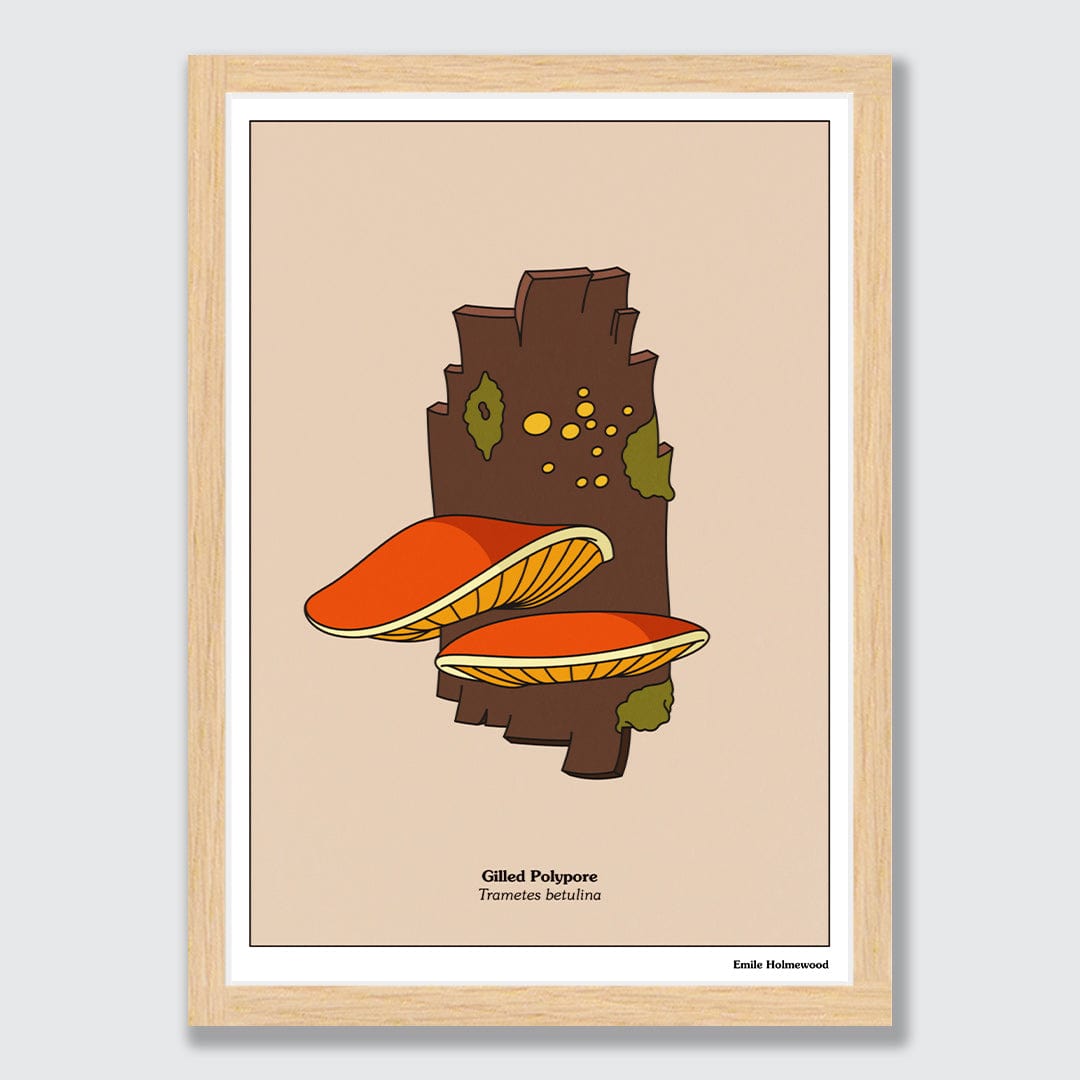Gilled Polypore Art Print by Emile Holmewood