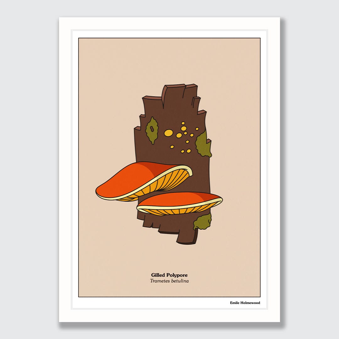 Gilled Polypore Art Print by Emile Holmewood