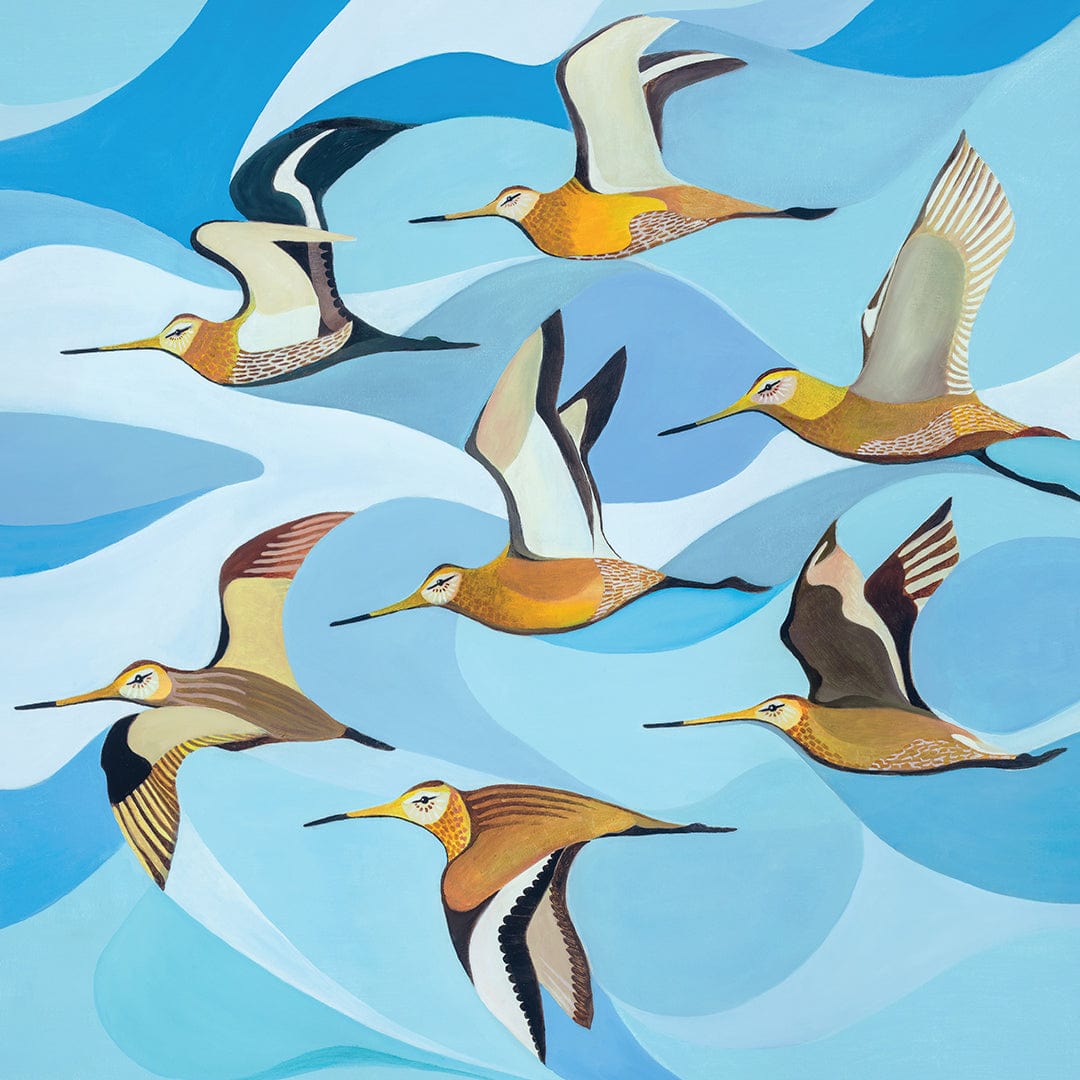Godwits Over Stingray Bay Art Print by Guy Harkness