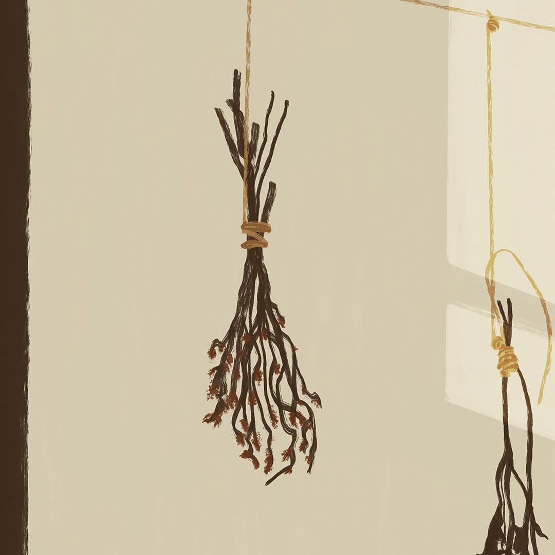 Hanging Dried Flowers Art Print by Home Time