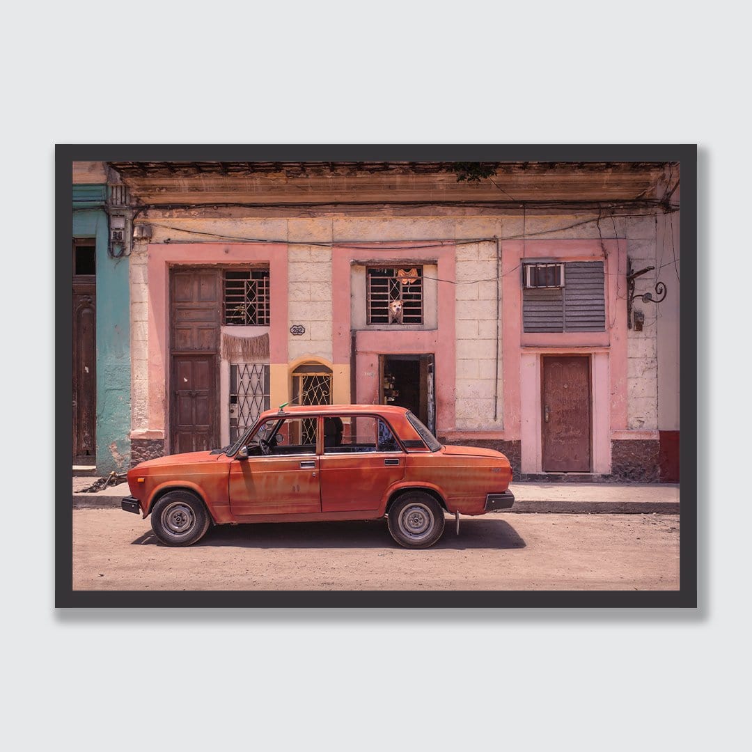 Havana #5 Watch Dog Photographic Print by The Virtue