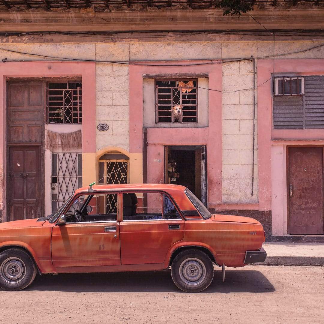 Havana #5 Watch Dog Photographic Print by The Virtue