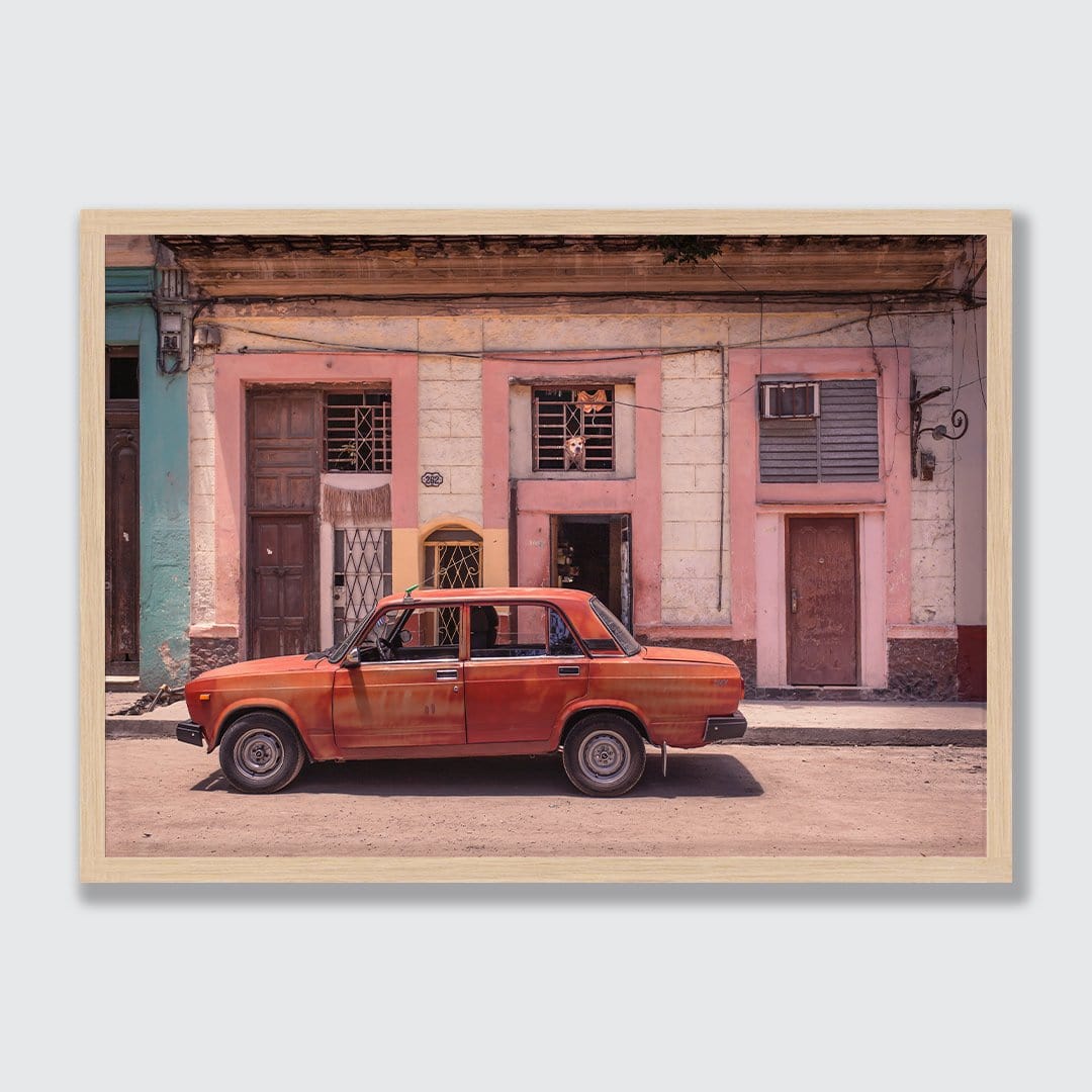 Havana #5 Watch Dog Photographic Print by The Virtue