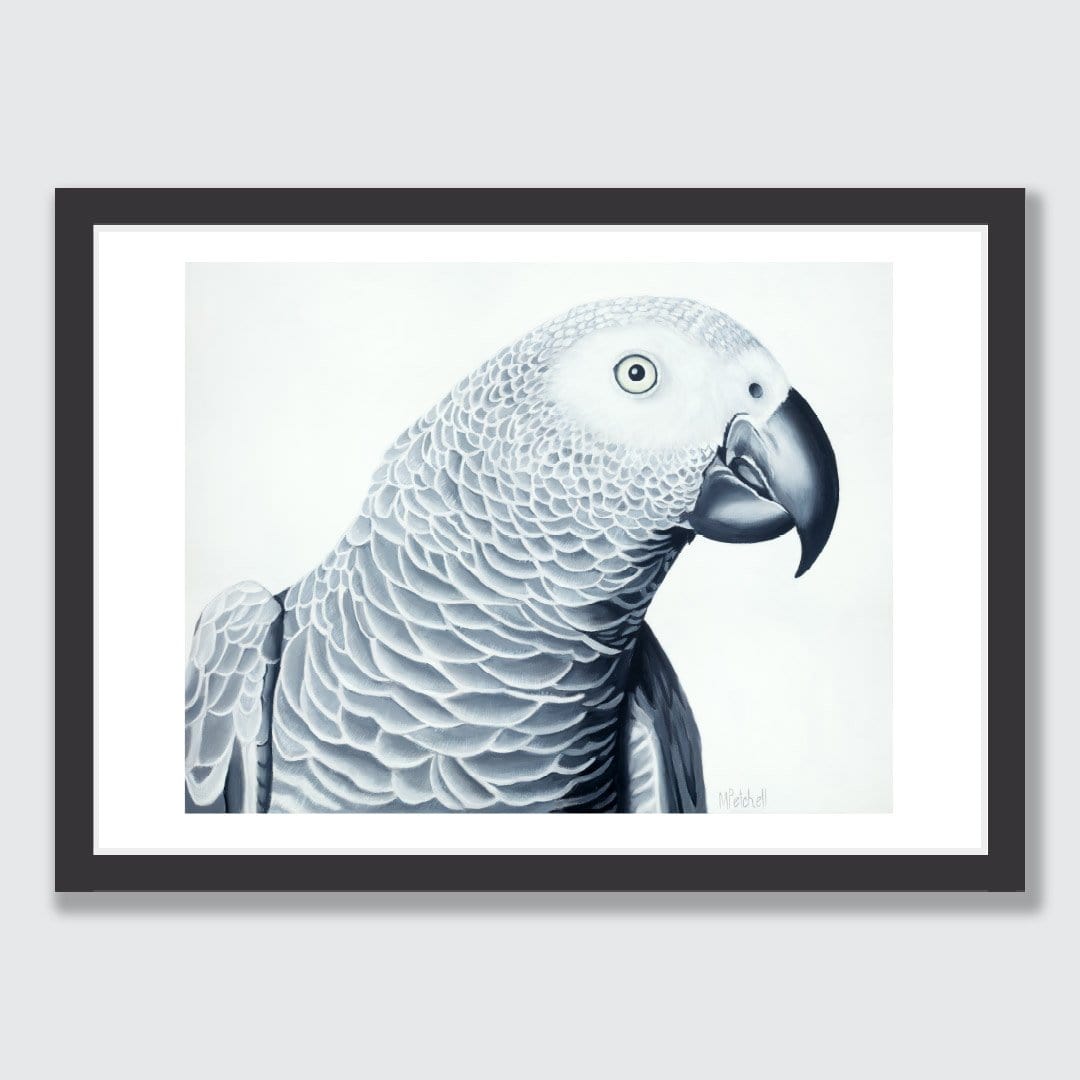 Hector African Grey Parrot Art Print by Margaret Petchell