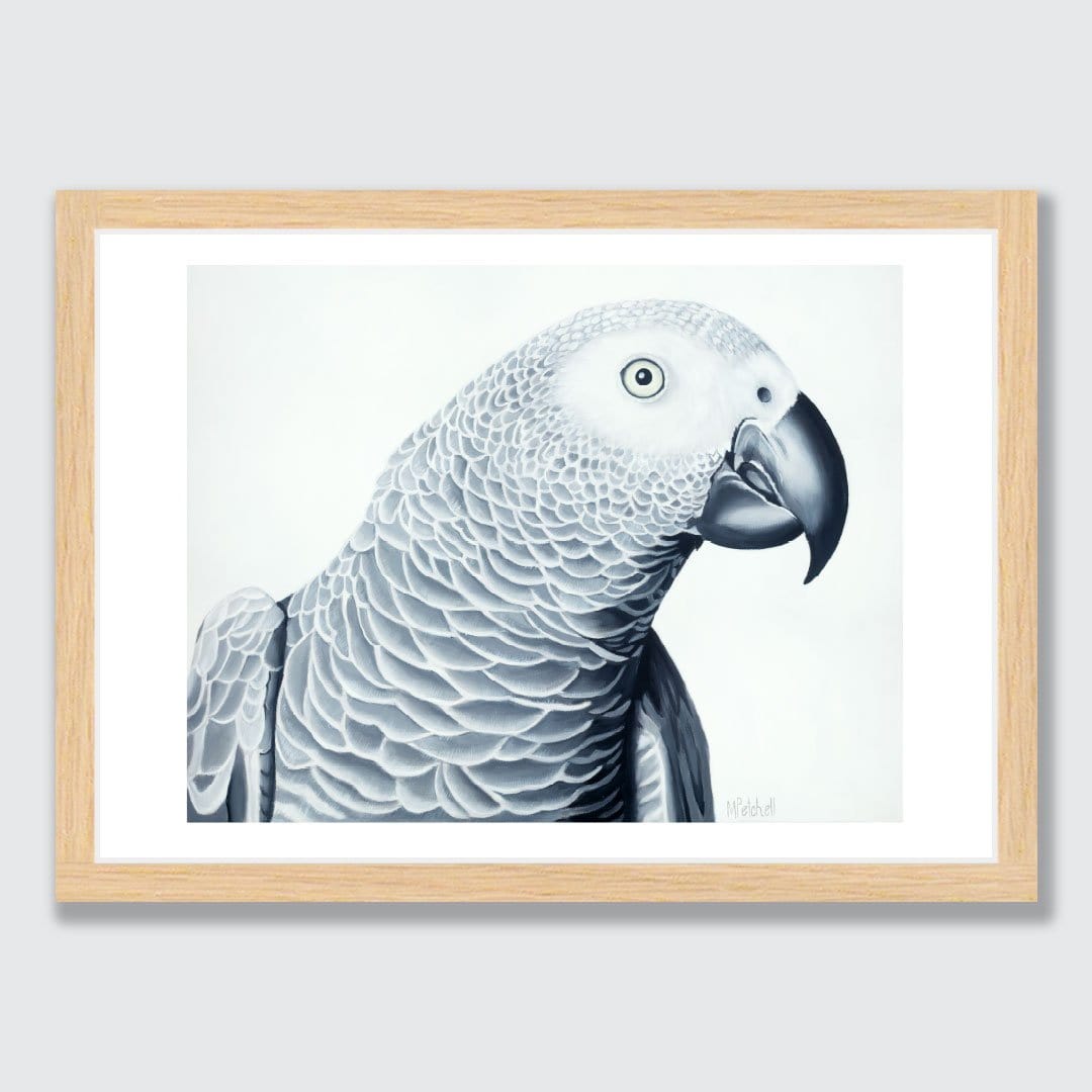 Hector African Grey Parrot Art Print by Margaret Petchell