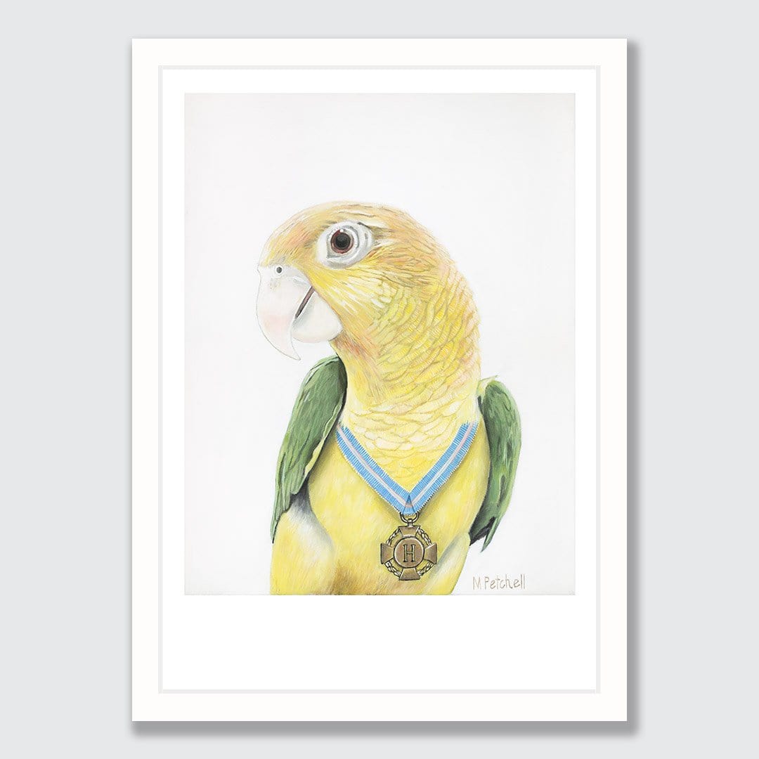 Hendrikse Parrot Art Print by Margaret Petchell