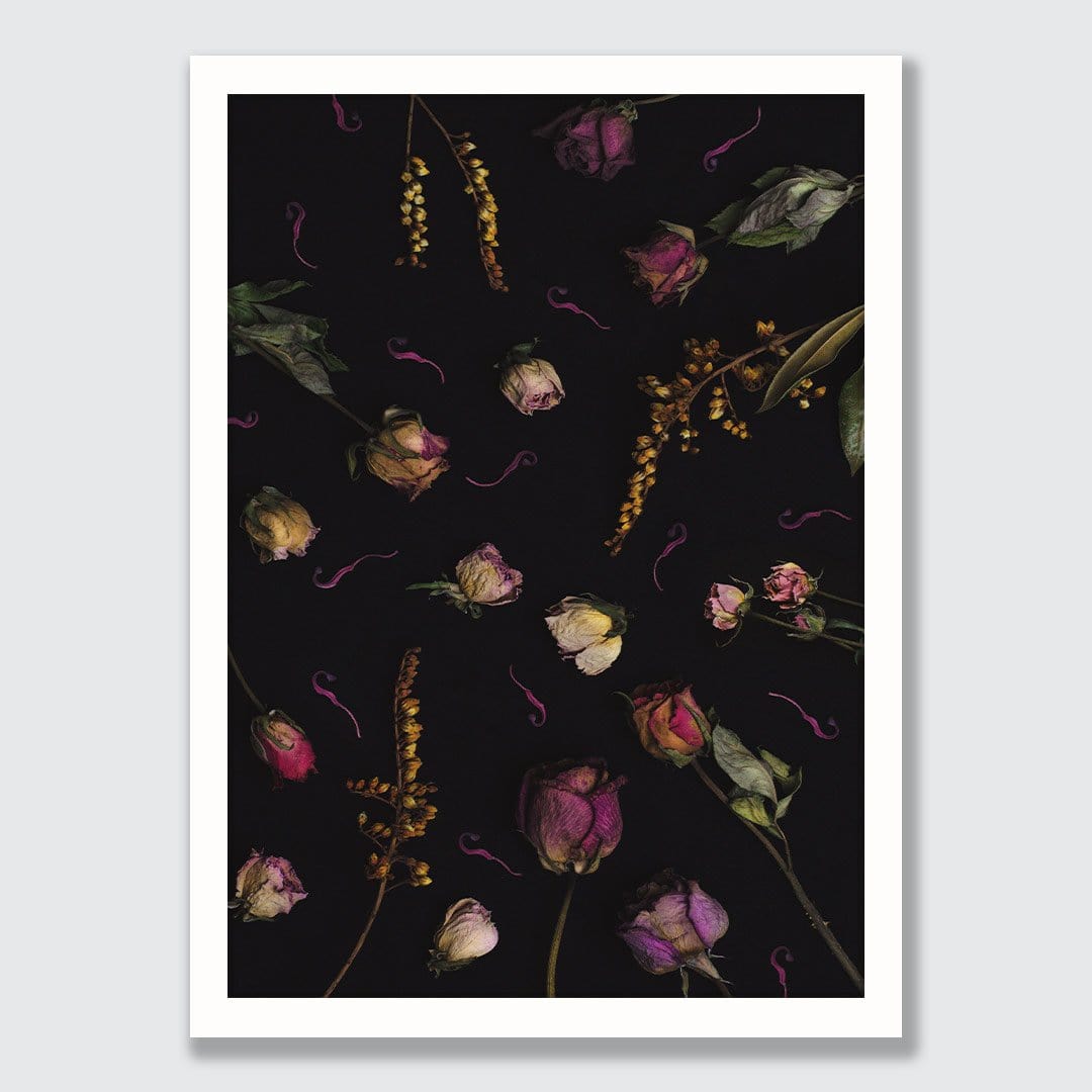 Hera Photographic Print by Maegan McDowell