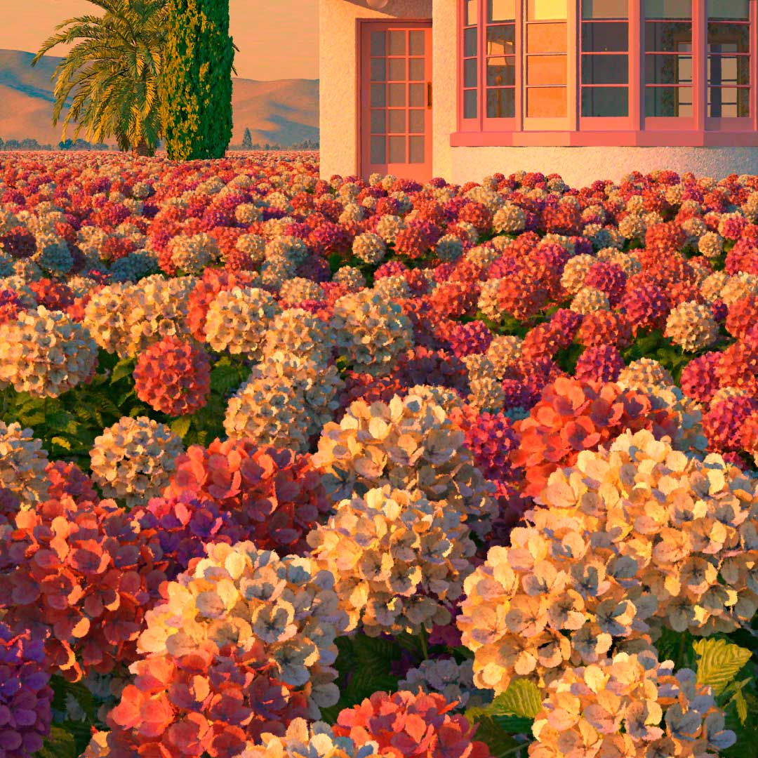Hydrangea Valley Art Print by Simon Stockley