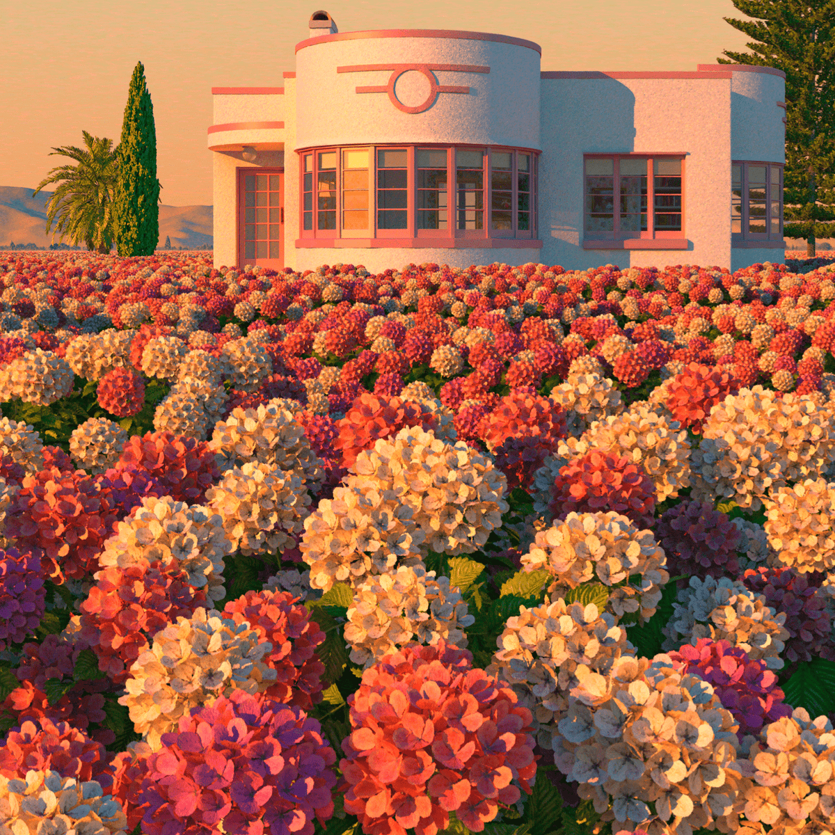 Hydrangea Valley Limited Edition Canvas Print by Simon Stockley