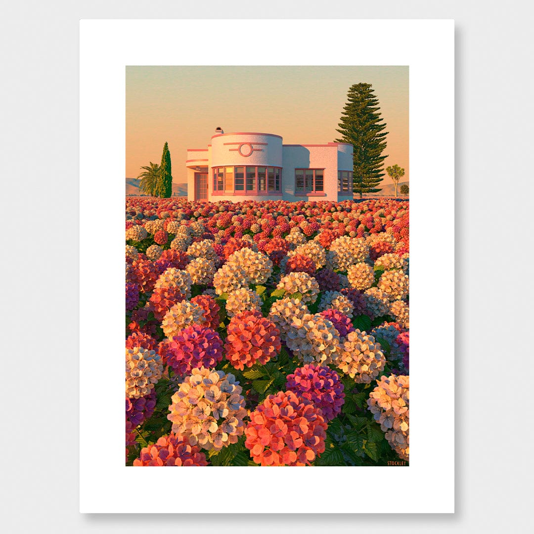 Hydrangea Valley Limited Edition Canvas Print by Simon Stockley