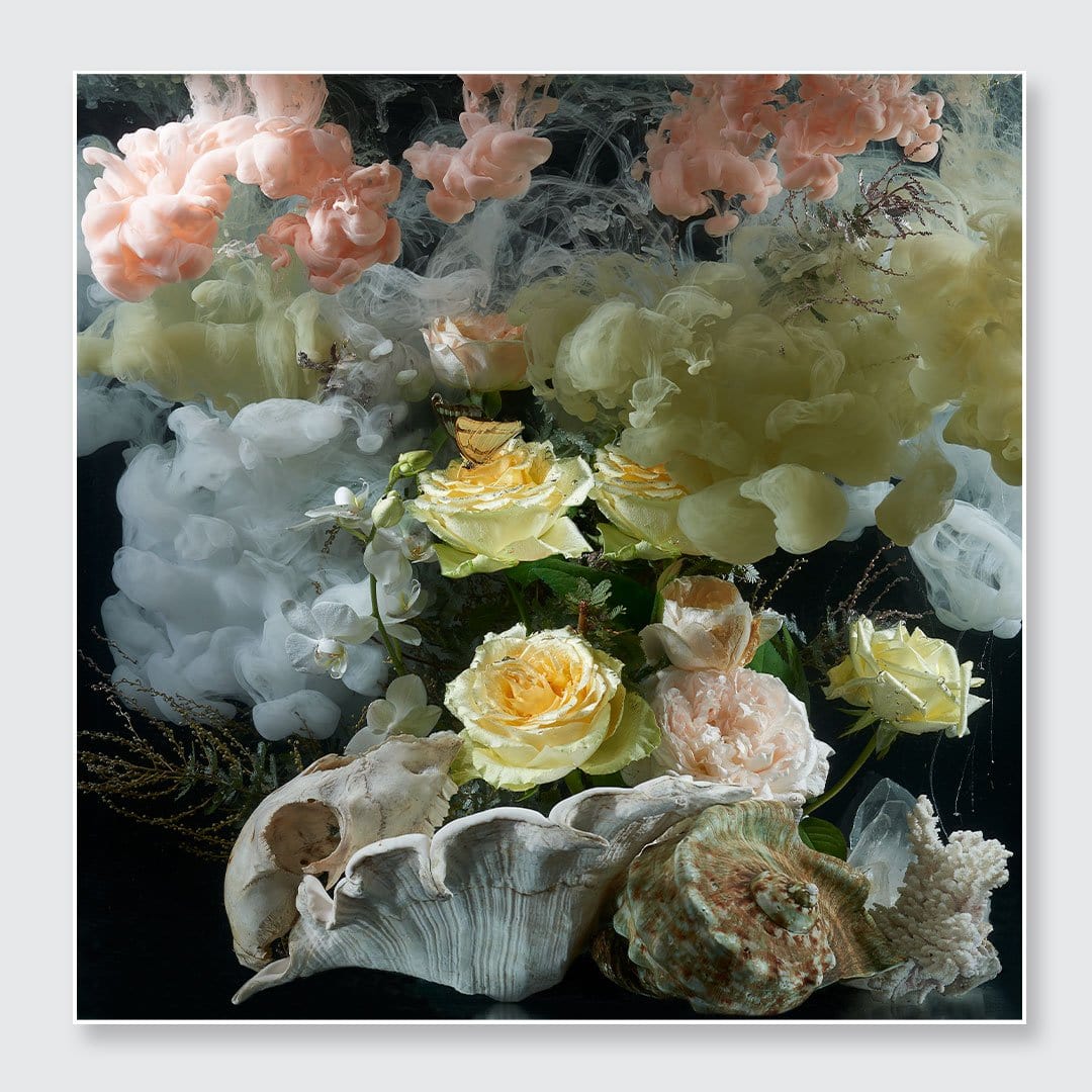 Immersed Still Life Photographic Print by Georgie Malyon