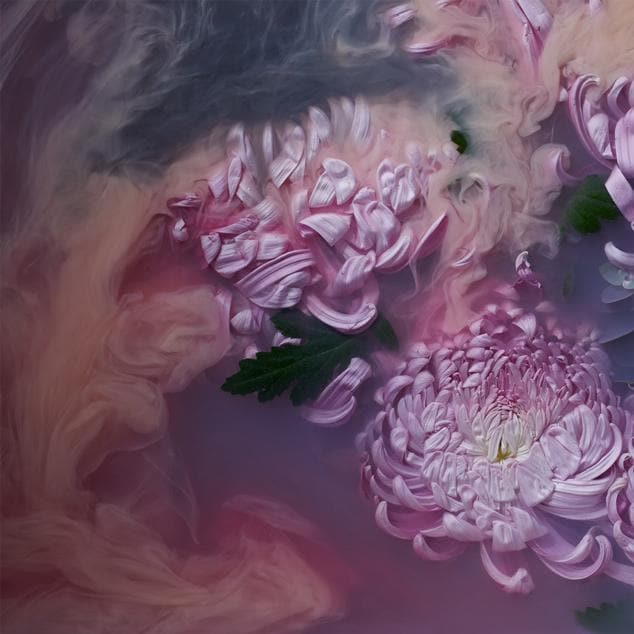 Invoke Photographic Print by Georgie Malyon