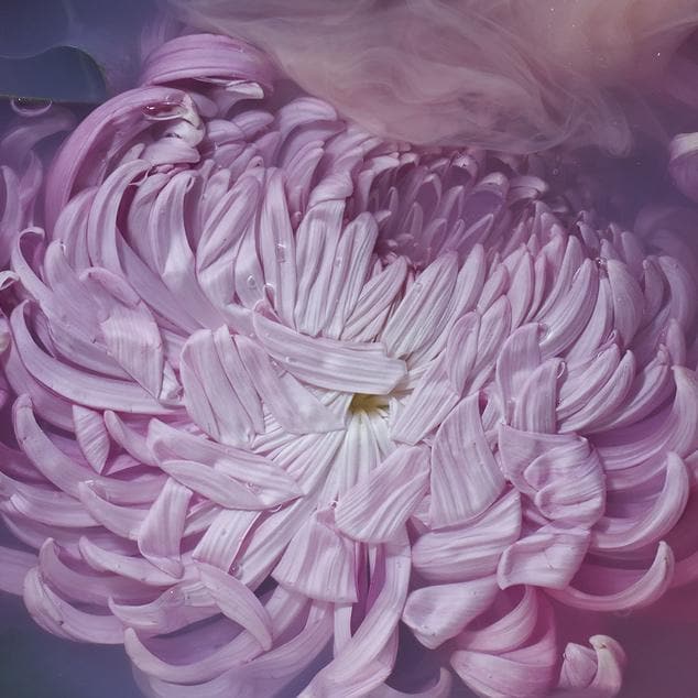 Invoke Photographic Print by Georgie Malyon