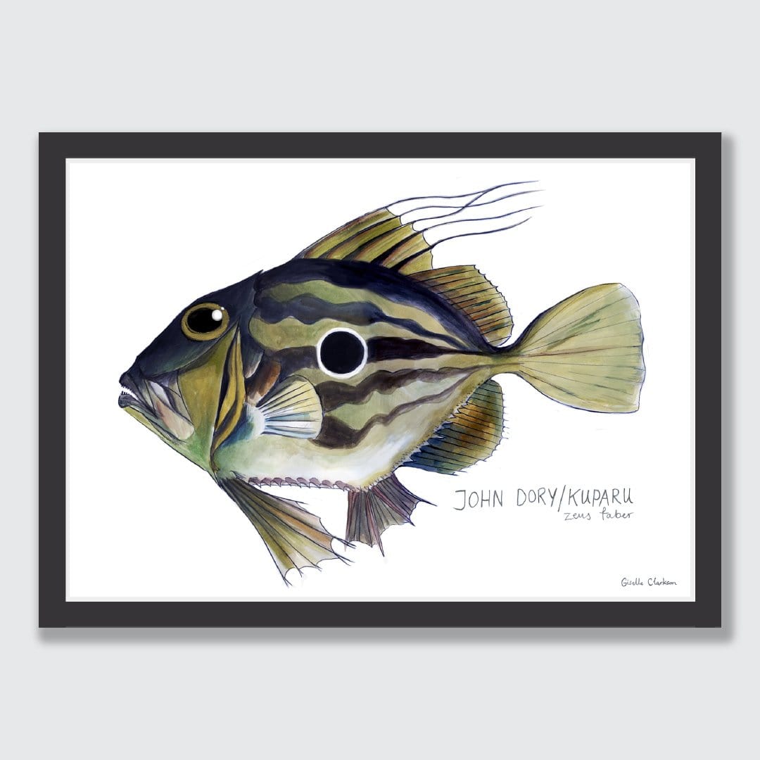 John Dory Art Print by Giselle Clarkson