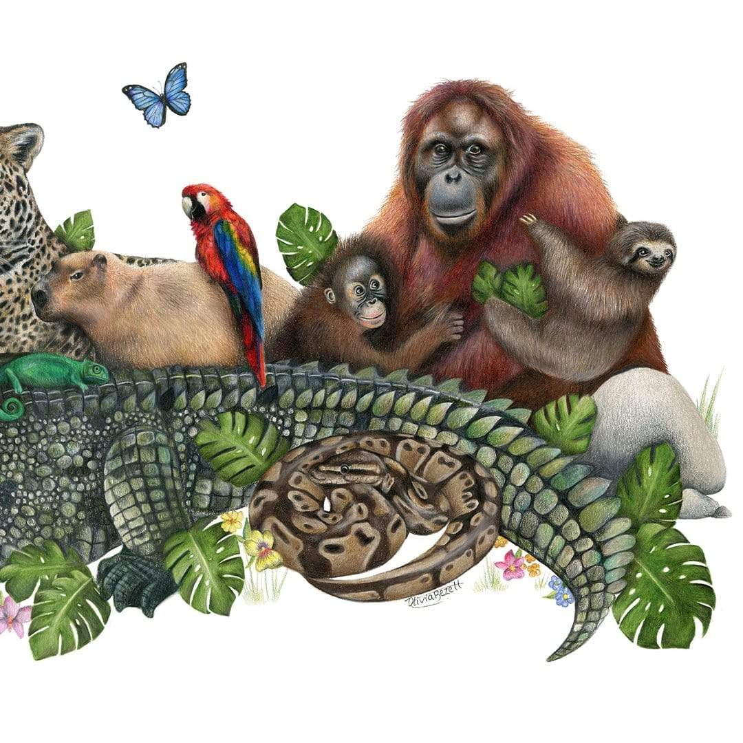 Jungle Friends Art Print by Olivia Bezett