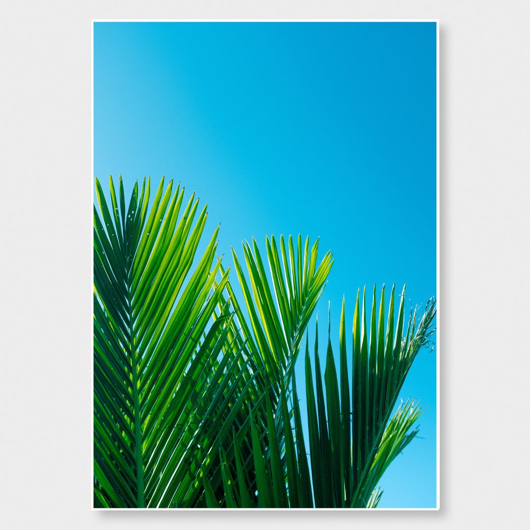 Kākāriki Nikau Photographic Art Print by Elliot Alexander