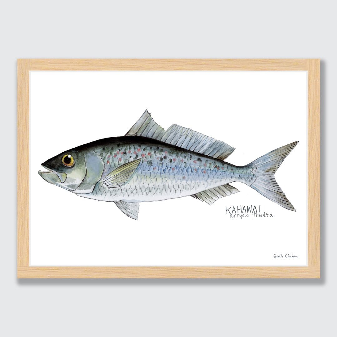 Kahawai Art Print by Giselle Clarkson
