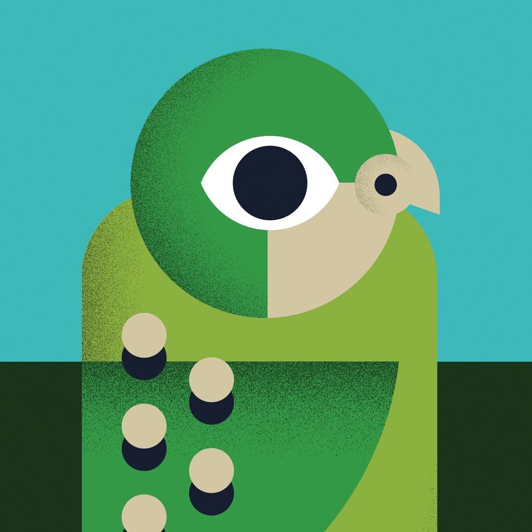 Kakapo Art Print by Beth Xia