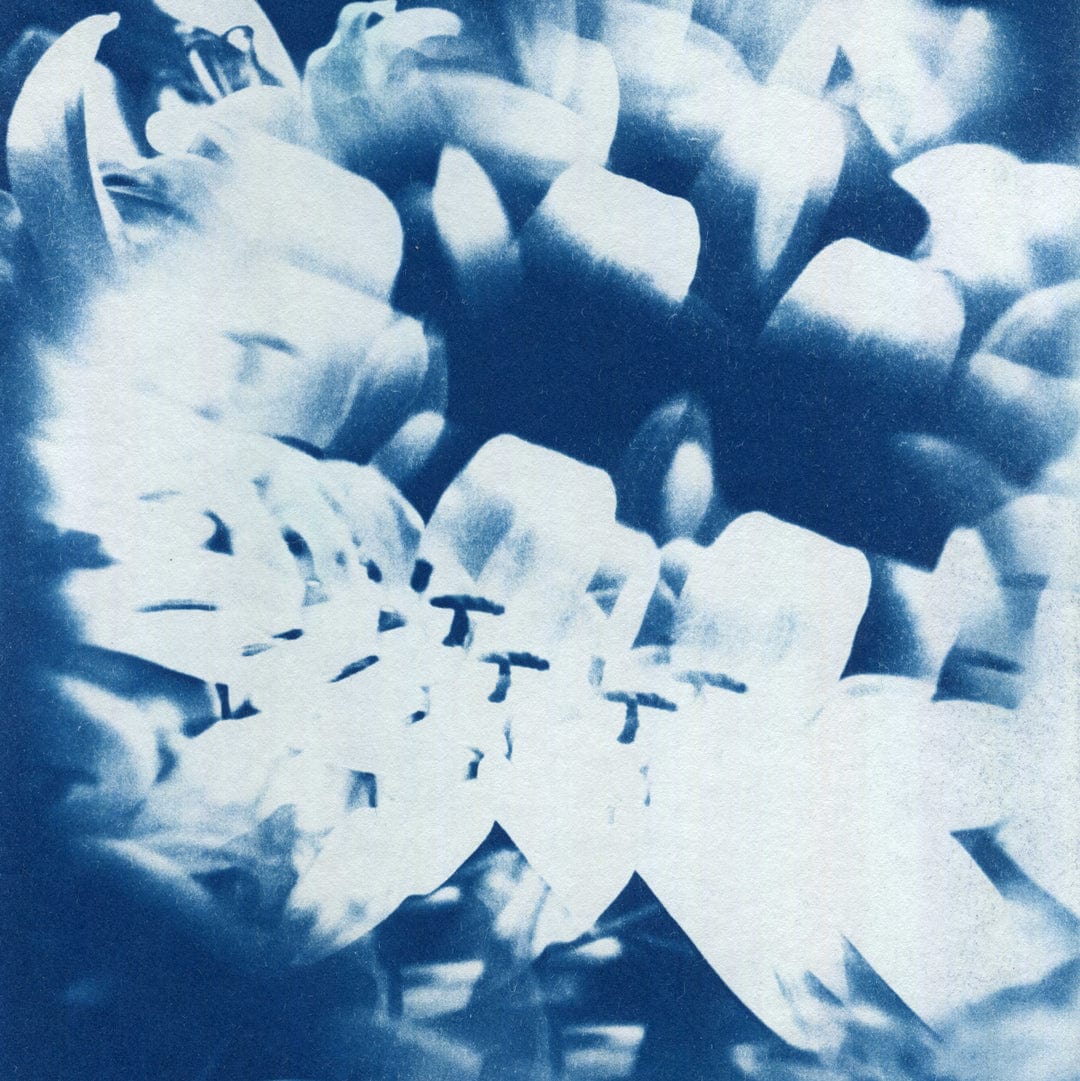 Kaleidoscope Lilies 01 Limited Edition Cyanotype by Sophia Jenny