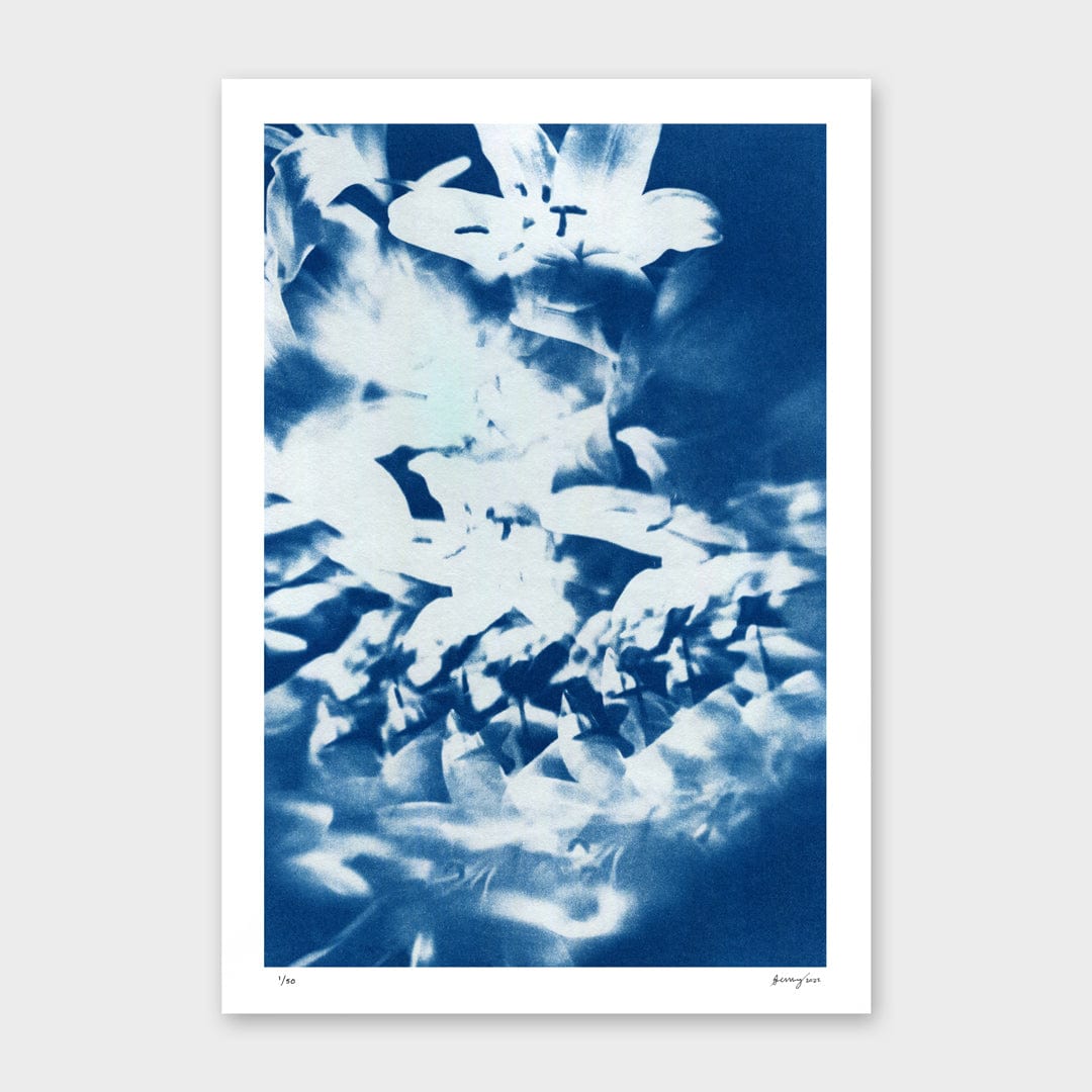 Kaleidoscope Lilies 03 Limited Edition Cyanotype by Sophia Jenny
