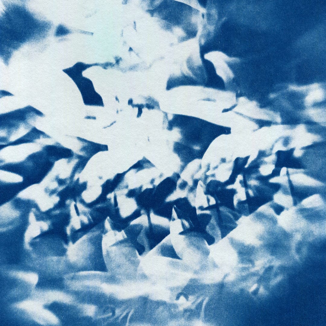 Kaleidoscope Lilies 03 Limited Edition Cyanotype by Sophia Jenny