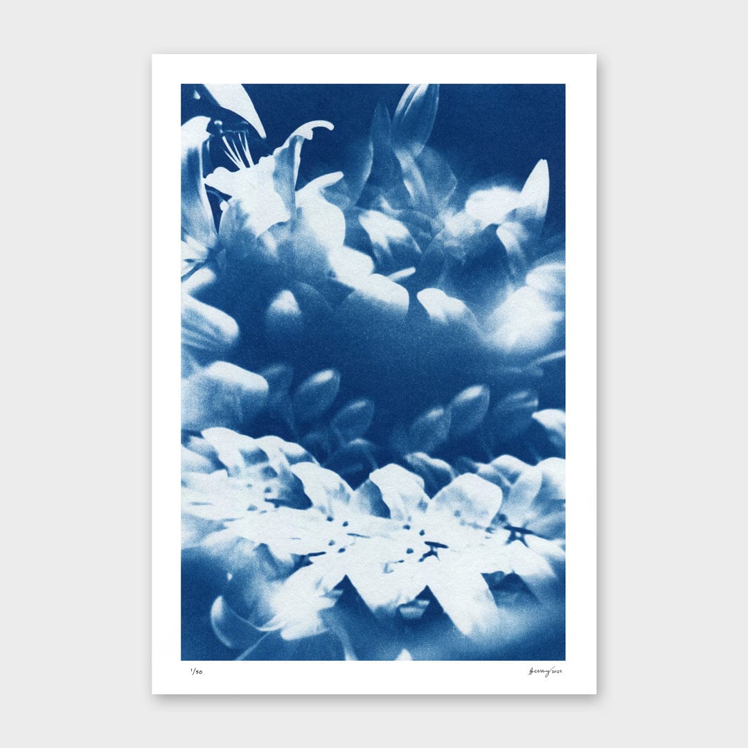Kaleidoscope Lilies 04 Limited Edition Cyanotype by Sophia Jenny