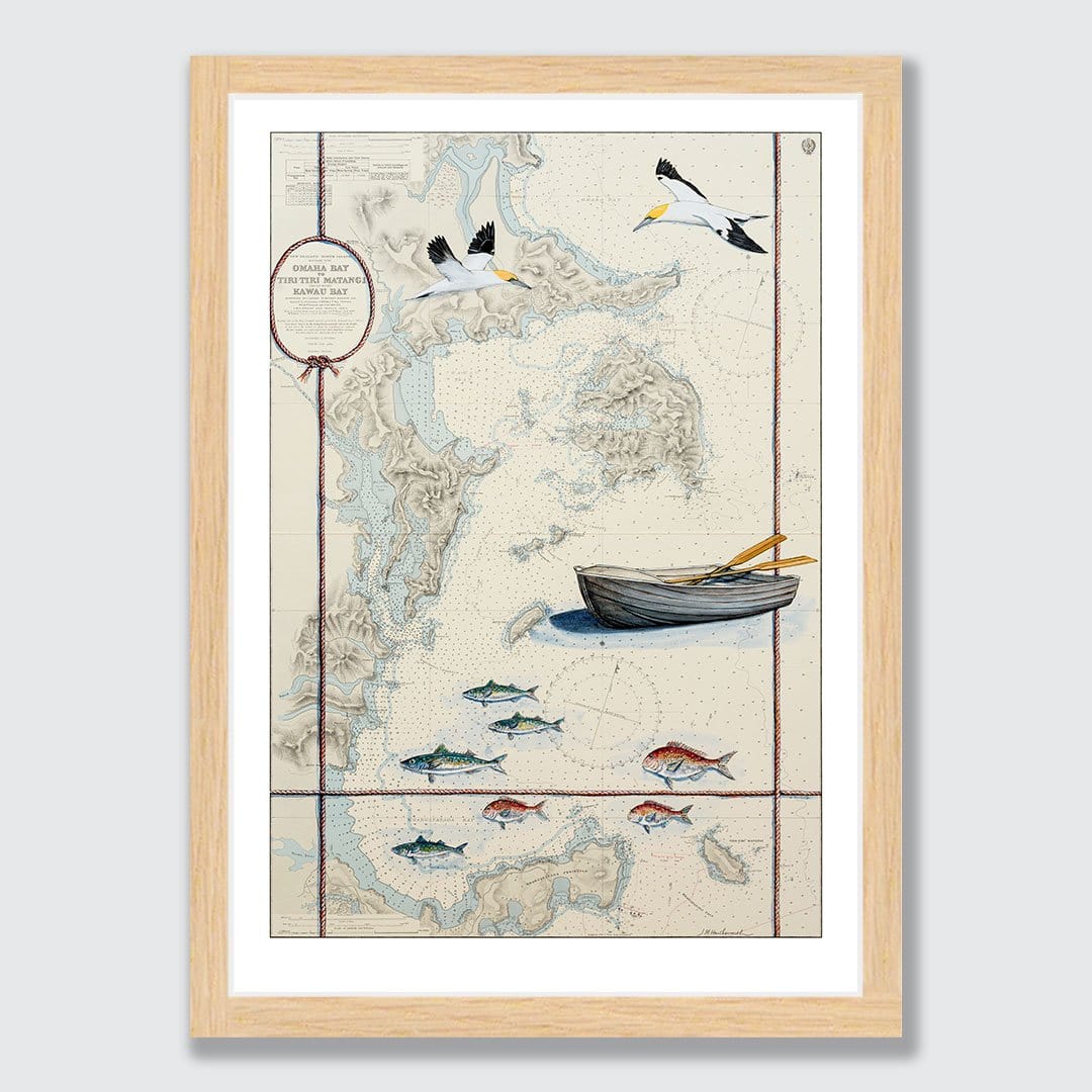 Kawau 2 Art Print by Justine Hawksworth