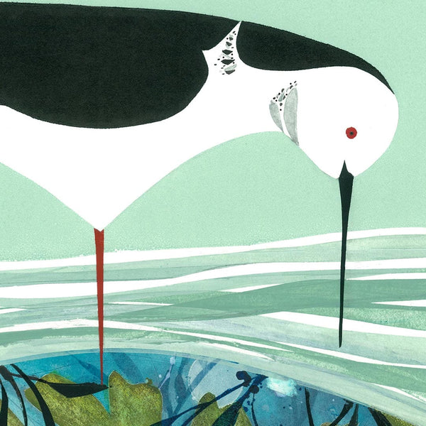 Kina and Pied Stilt Art Print by Holly Roach - endemicworld