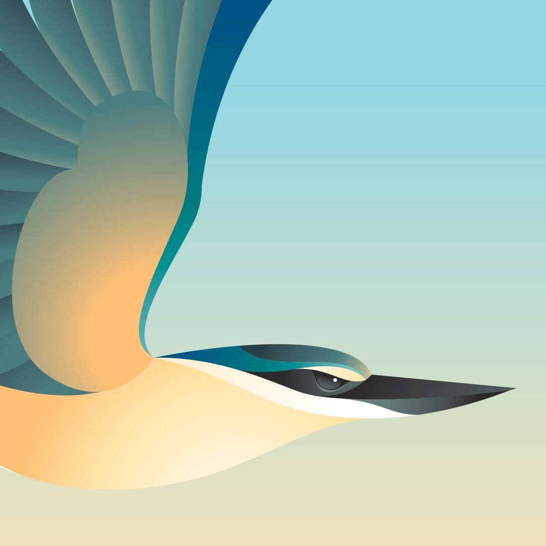 King Tide Kotare Art Print by Glenn Jones